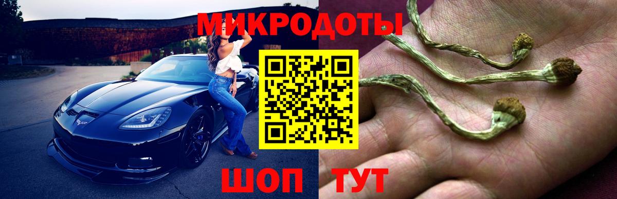 Белая Калитва  Псилоцибиновые грибы Psilocybe  Вход с VPN 